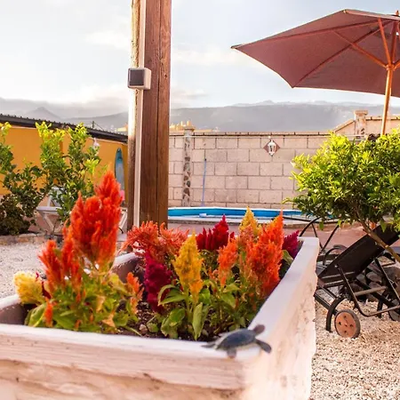 Platanito House